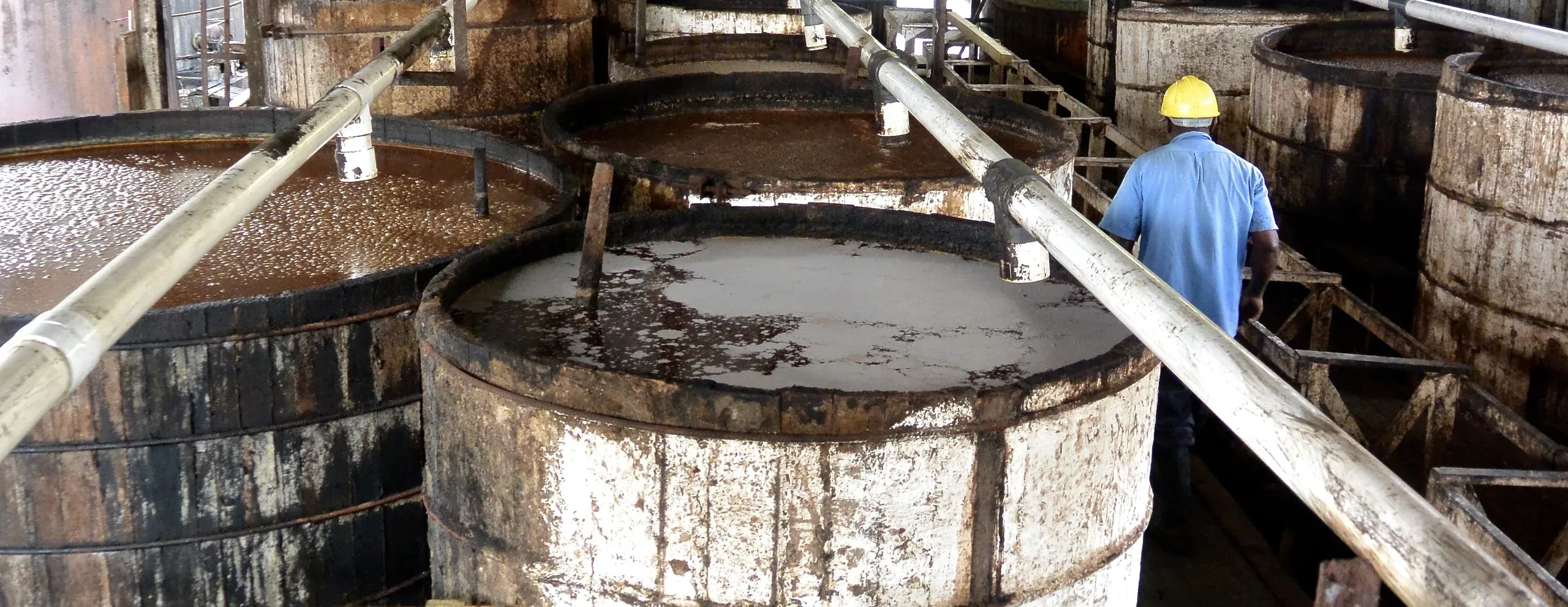 Open wooden fermentation vats, a worker in a yellow helmet walking past